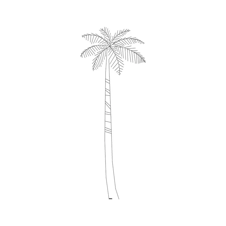 Tree Elevation (53) DWG CAD block thumbnail — trees & plants drawing