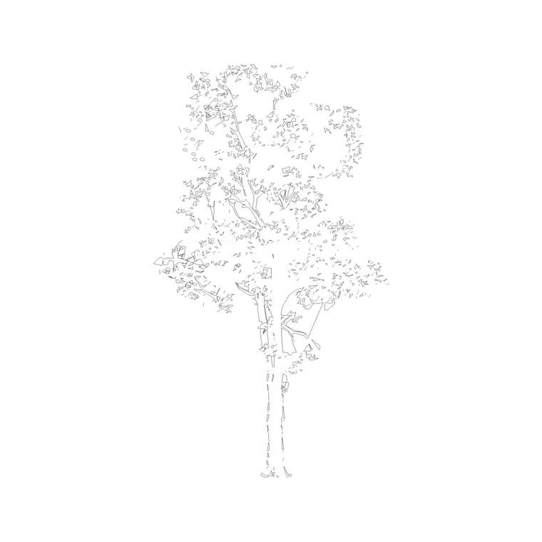 Tree Elevation (8) DWG CAD block thumbnail — trees & plants drawing