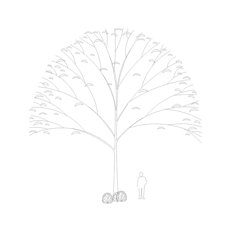 Tree Elevation (9) DWG CAD block thumbnail — trees & plants drawing