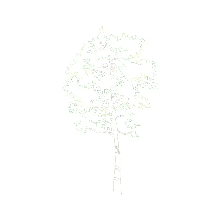 Tree Front Ele (1) DWG CAD block thumbnail — trees & plants drawing