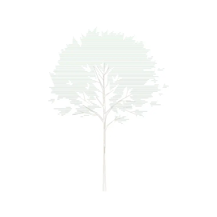 Tree Front Ele (10) DWG CAD block thumbnail — trees & plants drawing