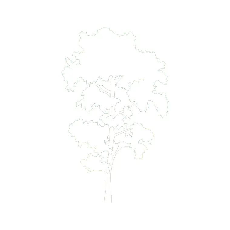 Tree Front Ele (11) DWG CAD block thumbnail — trees & plants drawing