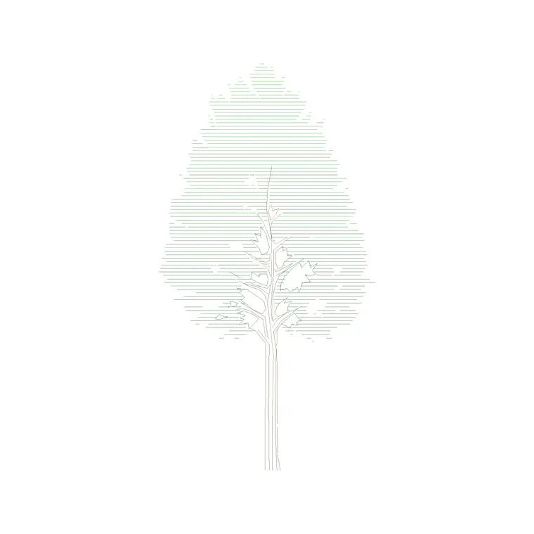 Tree Front Ele (12) DWG CAD block thumbnail — trees & plants drawing