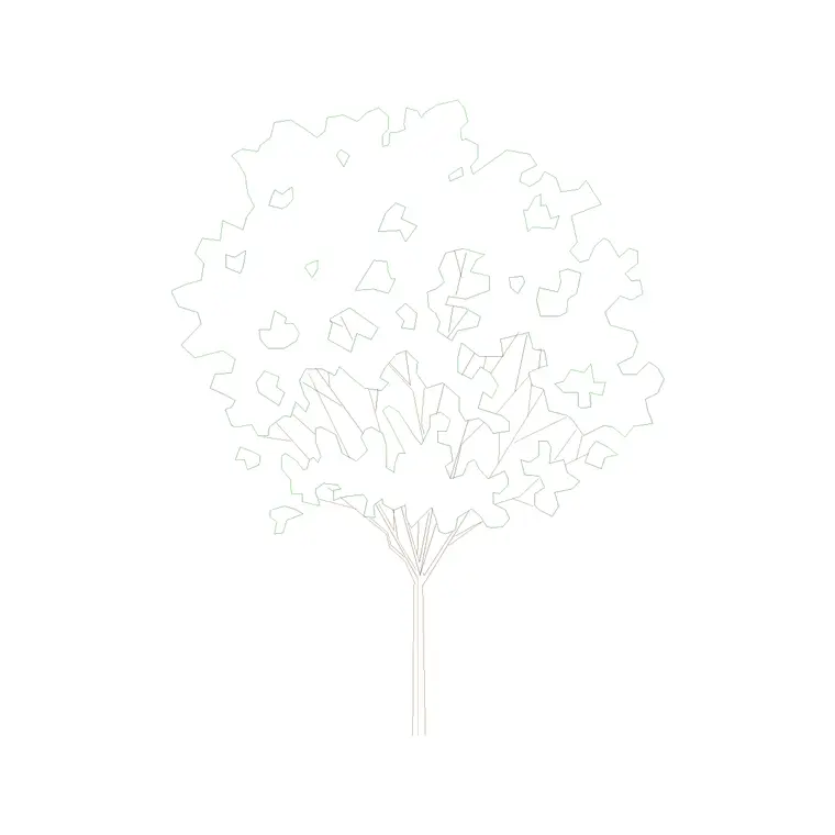Tree Front Ele (14) DWG CAD block thumbnail — trees & plants drawing