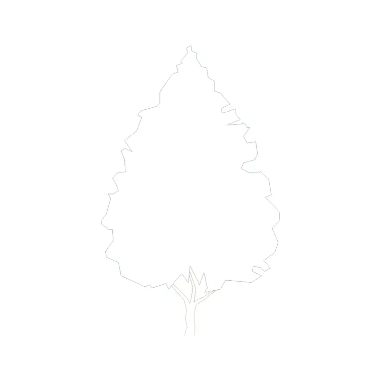 Tree Front Ele (16) DWG CAD block thumbnail — trees & plants drawing