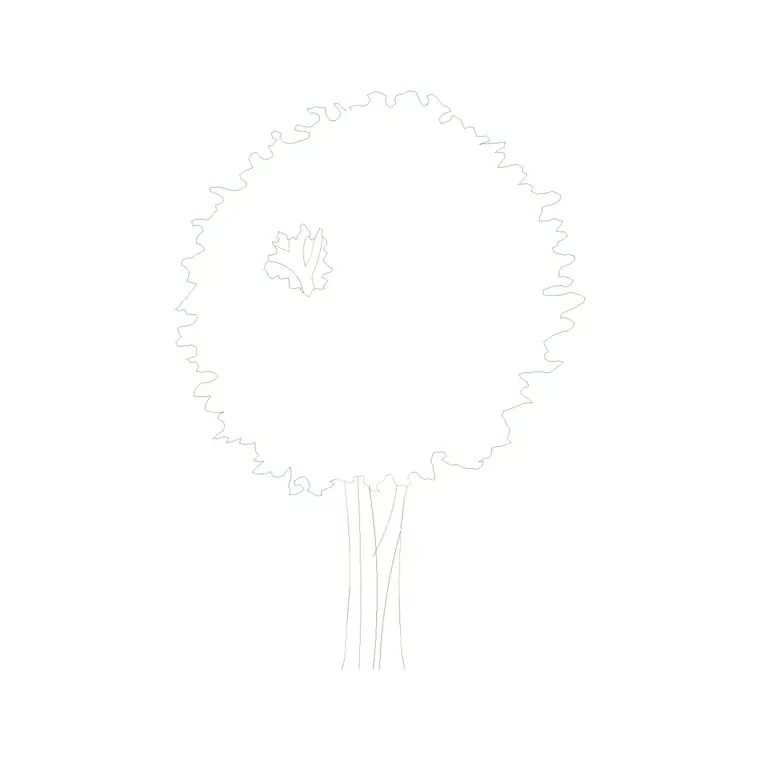 Tree Front Ele (17) DWG CAD block thumbnail — trees & plants drawing