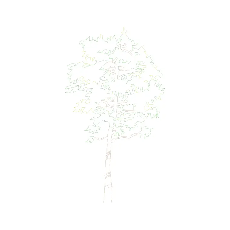 Tree Front Ele (19) DWG CAD block thumbnail — trees & plants drawing