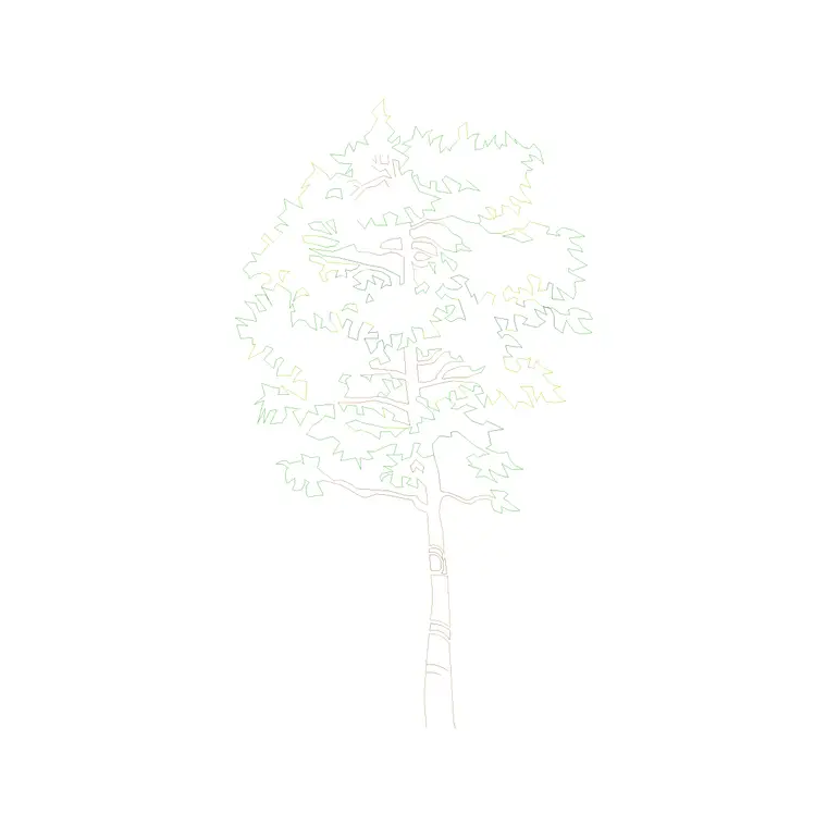 Tree Front Ele (23) DWG CAD block thumbnail — trees & plants drawing