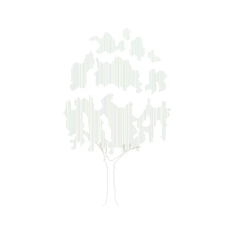 Tree Front Ele (25) DWG CAD block thumbnail — trees & plants drawing