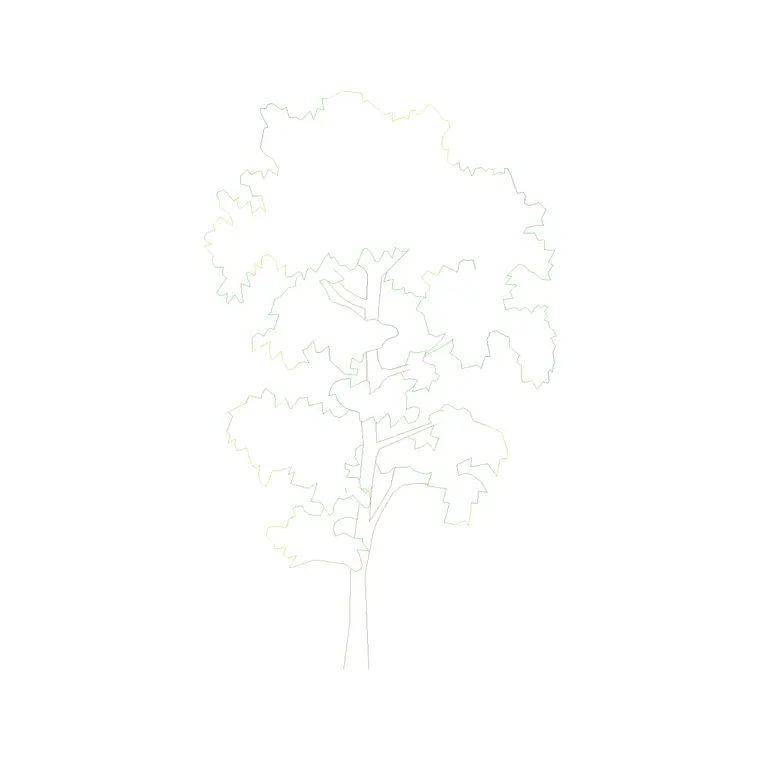 Tree Front Ele (28) DWG CAD block thumbnail — trees & plants drawing