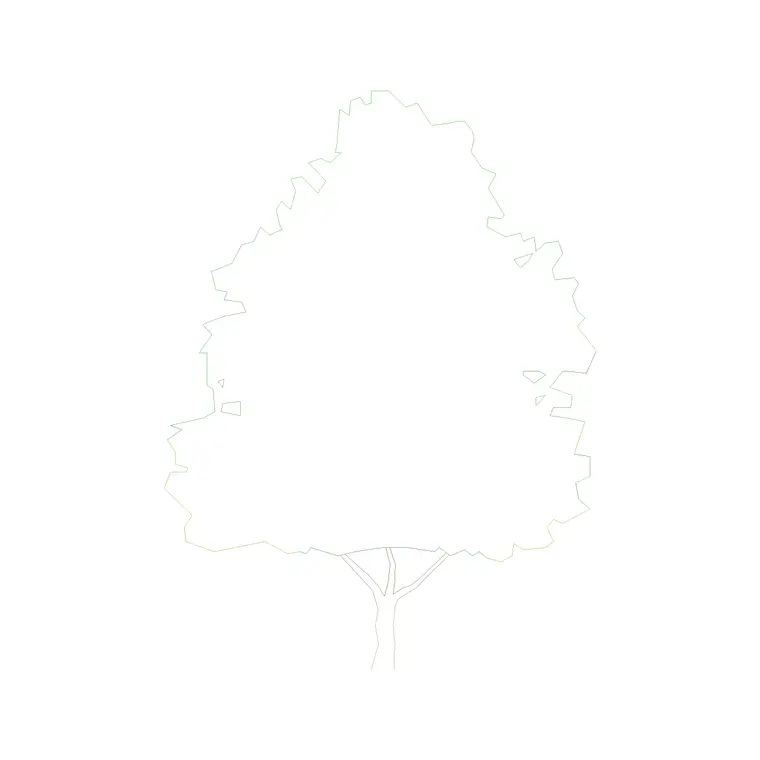 Tree Front Ele (6) DWG CAD block thumbnail — trees & plants drawing