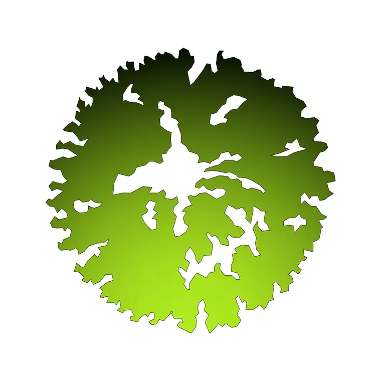 Tree Plan 16 DWG CAD block thumbnail — trees & plants drawing