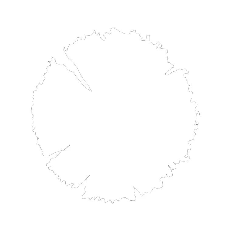 Tree Plan (30) DWG CAD block thumbnail — trees & plants drawing