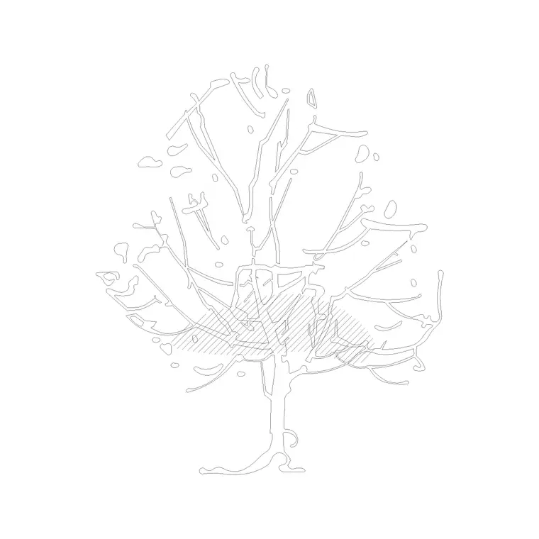Tree Sketch Ele DWG CAD block thumbnail — trees & plants drawing
