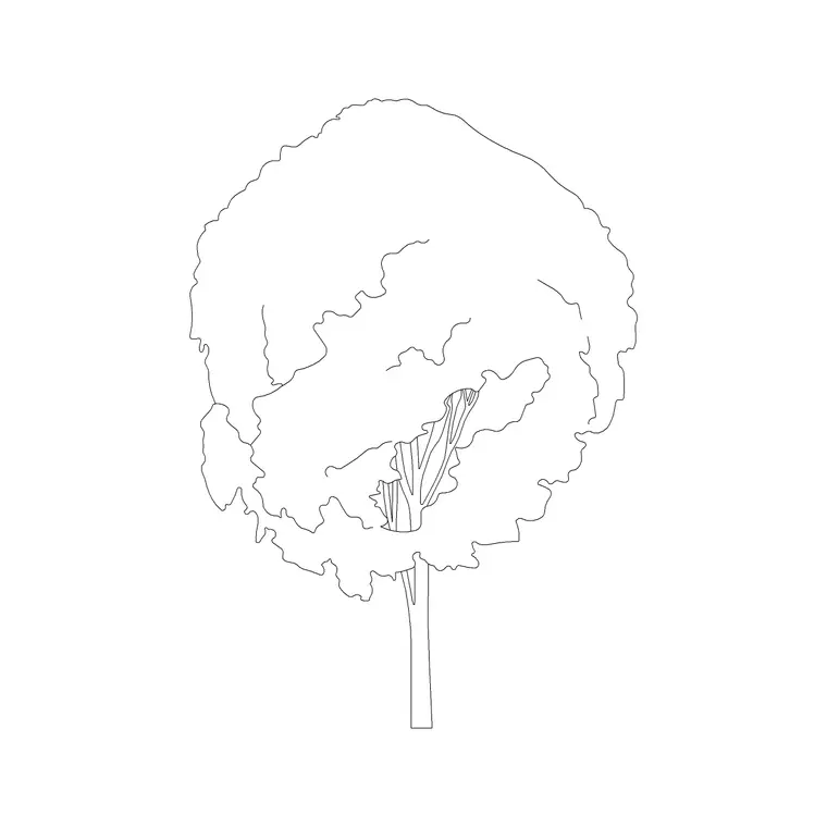 Tree Sketche Ele (2) DWG CAD block thumbnail — trees & plants drawing