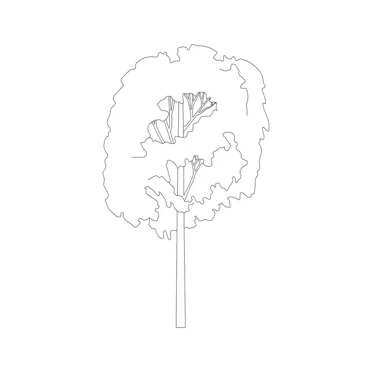 Tree Sketche Ele (3) DWG CAD block thumbnail — trees & plants drawing