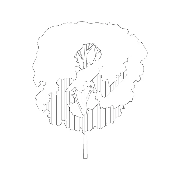 Tree Sketche Ele (5) DWG CAD block thumbnail — trees & plants drawing