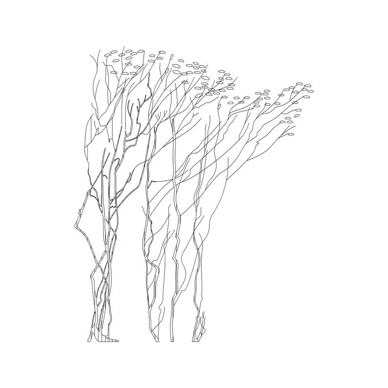 Tree Sketche Ele (6) DWG CAD block thumbnail — trees & plants drawing