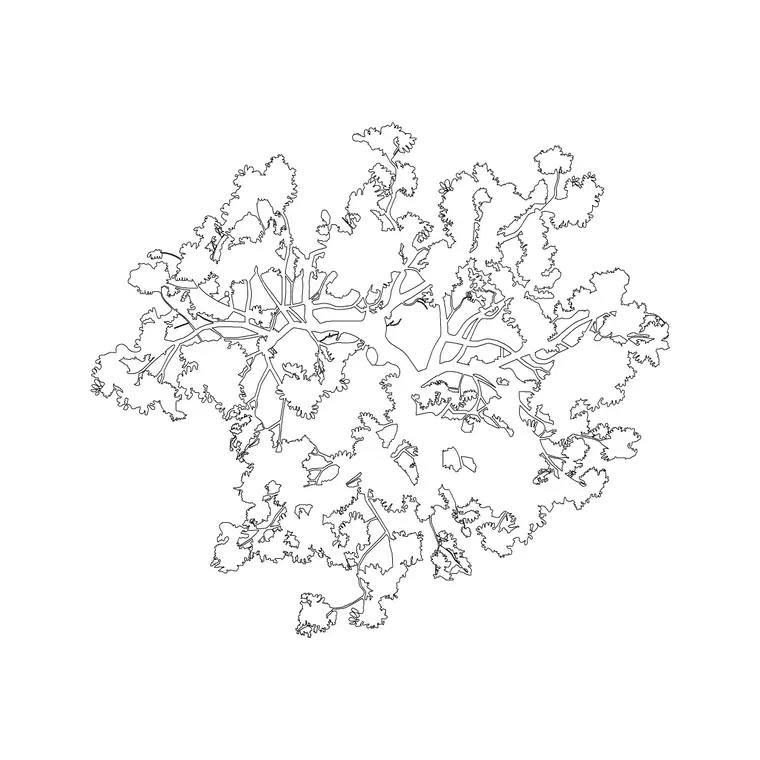 Tree Top Plan 1 DWG CAD block thumbnail — trees & plants drawing