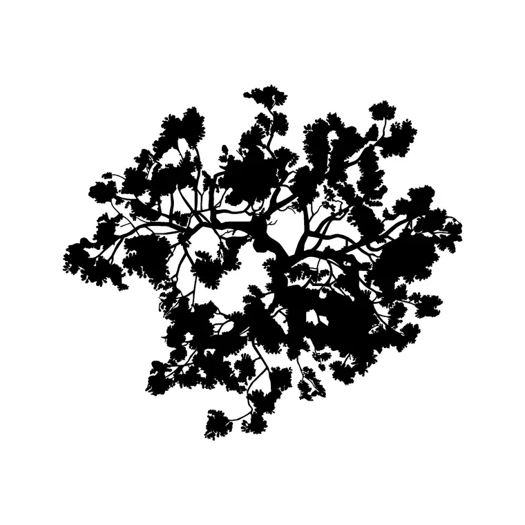 Tree Top Plan 2 DWG CAD block thumbnail — trees & plants drawing