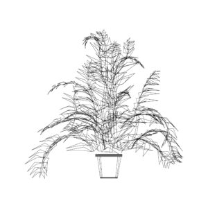Small Potted Plant Type 16