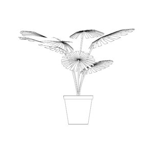 Small Potted Plant Type 19