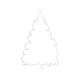 Coniferous Tree Type 16