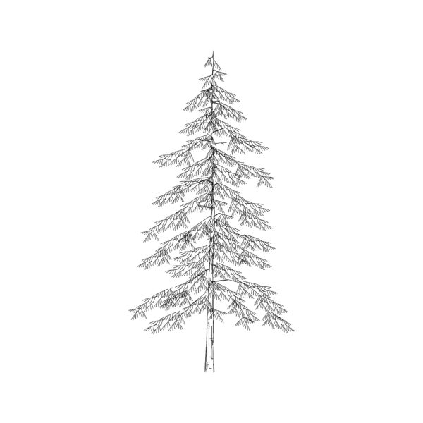 Christmas Tree Thin Long