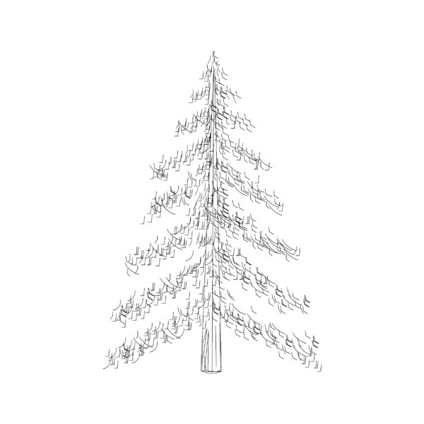 Christmas Tree Type B