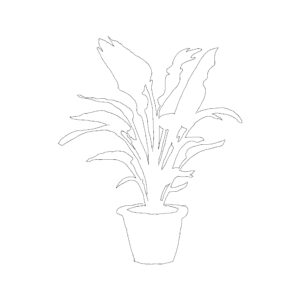 Potted Plant Type 003