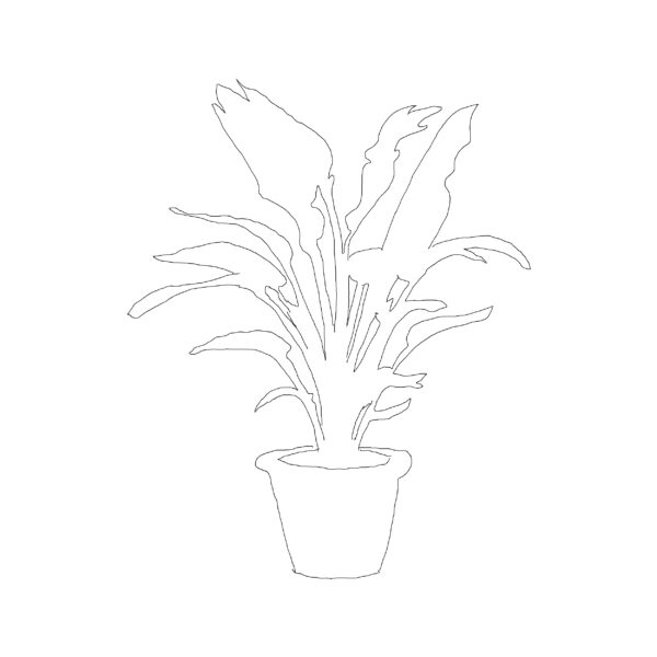 Potted Plant Type 003