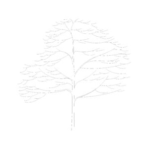 Tree Type 11