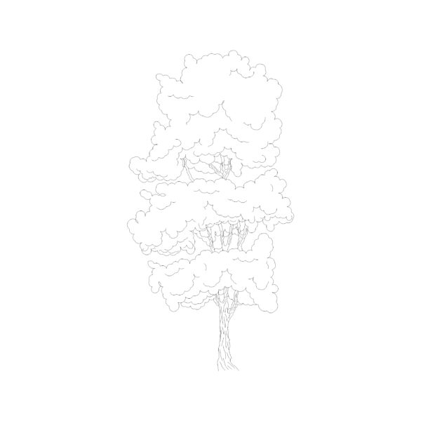 Tree Type 16