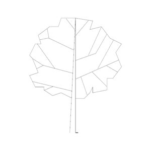 Single Line Tree Type 18