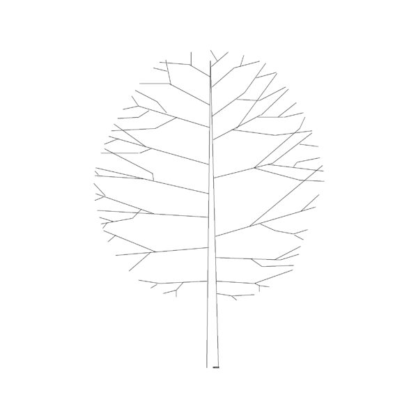 Single Line Tree Type 21