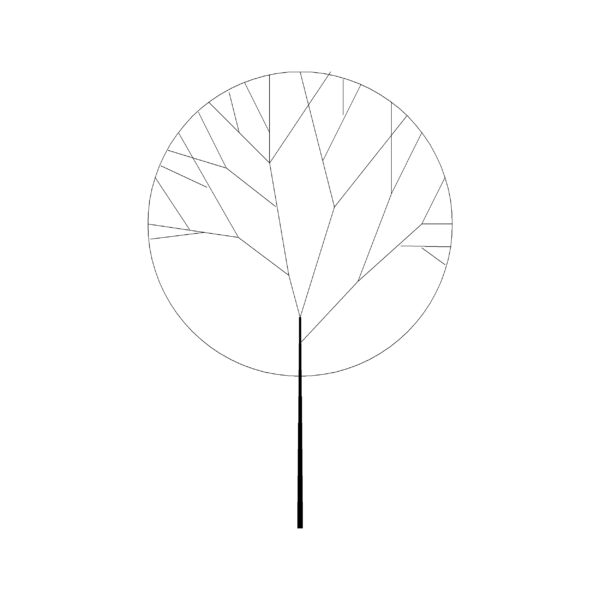 Architectural Tree Type 3