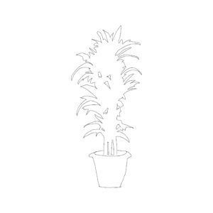 Potted Plant Type 006