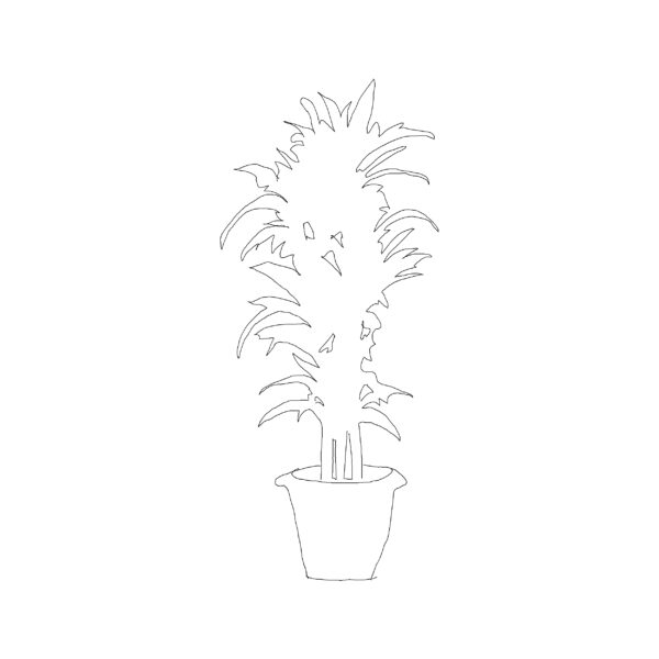 Potted Plant Type 006