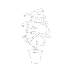 Potted Plant Type 010