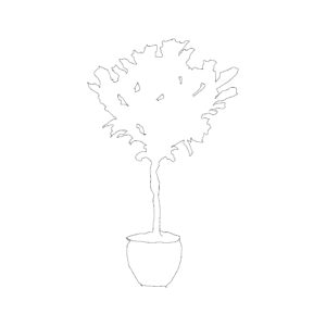 Potted Plant Type 013
