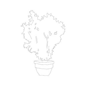 Potted Plant Type 016