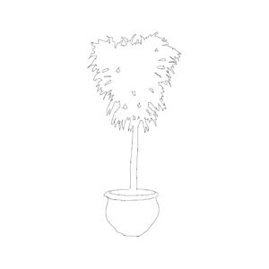 Potted Plant Type 018