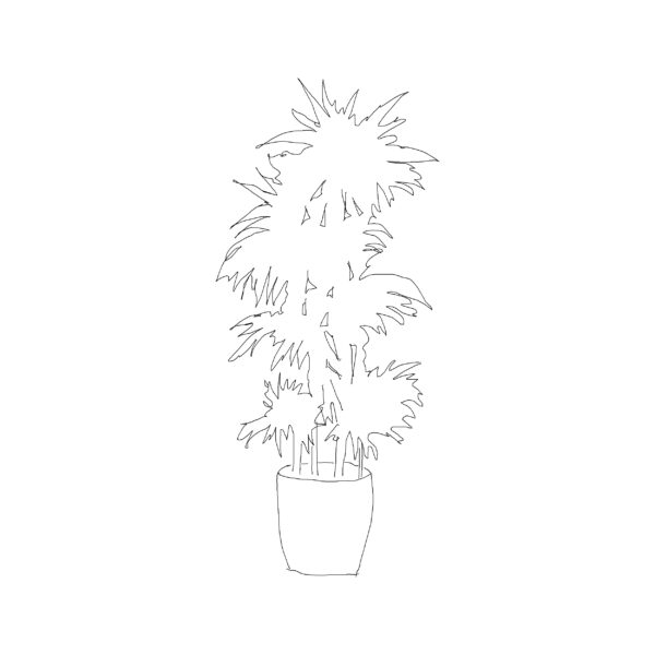 Potted Plant Type 020