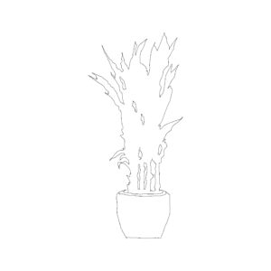 Potted Plant Type 021