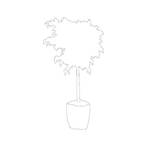 Potted Plant Type 030