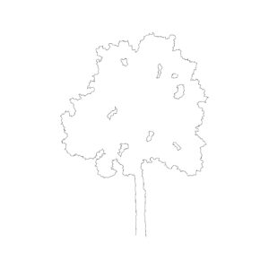 Tall Tree Type 1