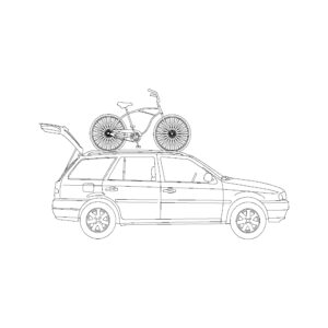 Car with bicycle