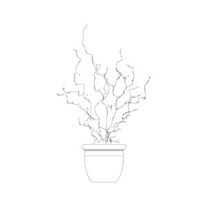 Medium Potted Plant Type 1