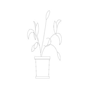 Medium Potted Plant Type 14