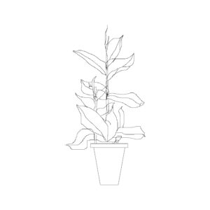 Medium Potted Plant Type 34